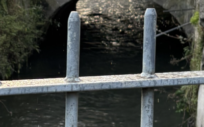 Buying or Owning a Property Beside a River: Structural Risks to Consider